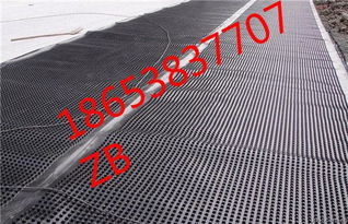 济宁优质植草格厂家推荐与塑料植草格产品图片展示